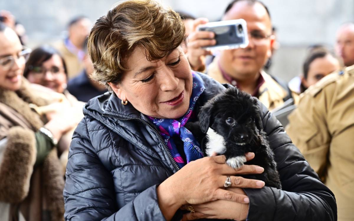 mayor bienestar animal en edomex