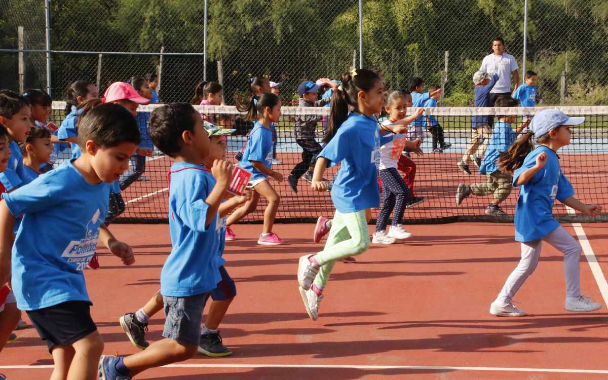 curso de verano metepec 2024