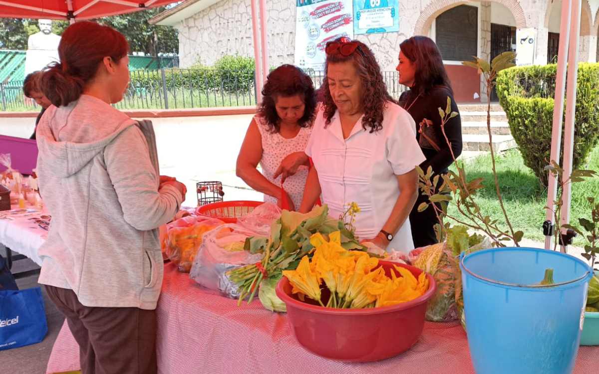 fortalece economia edomex con tianguis colibri
