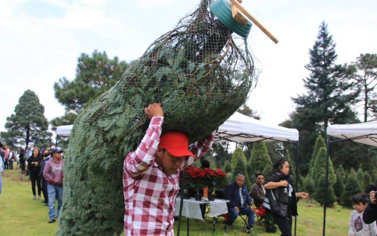 expo navideña llega a edomex