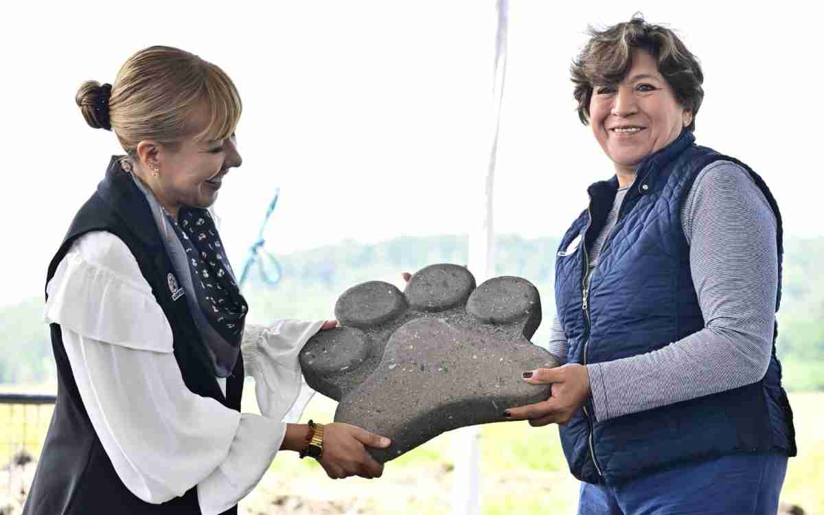 nuevo proyecto de prteccion animal edomex