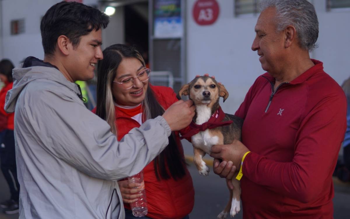 adopta en edomex con conciencia