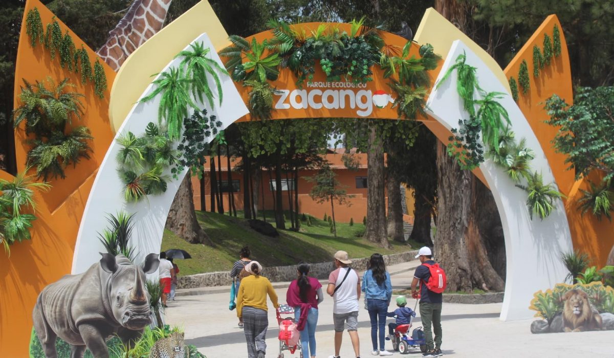 ¡Personas de Calimaya entran gratis al Zoológico de Zacango! REQUISITOS