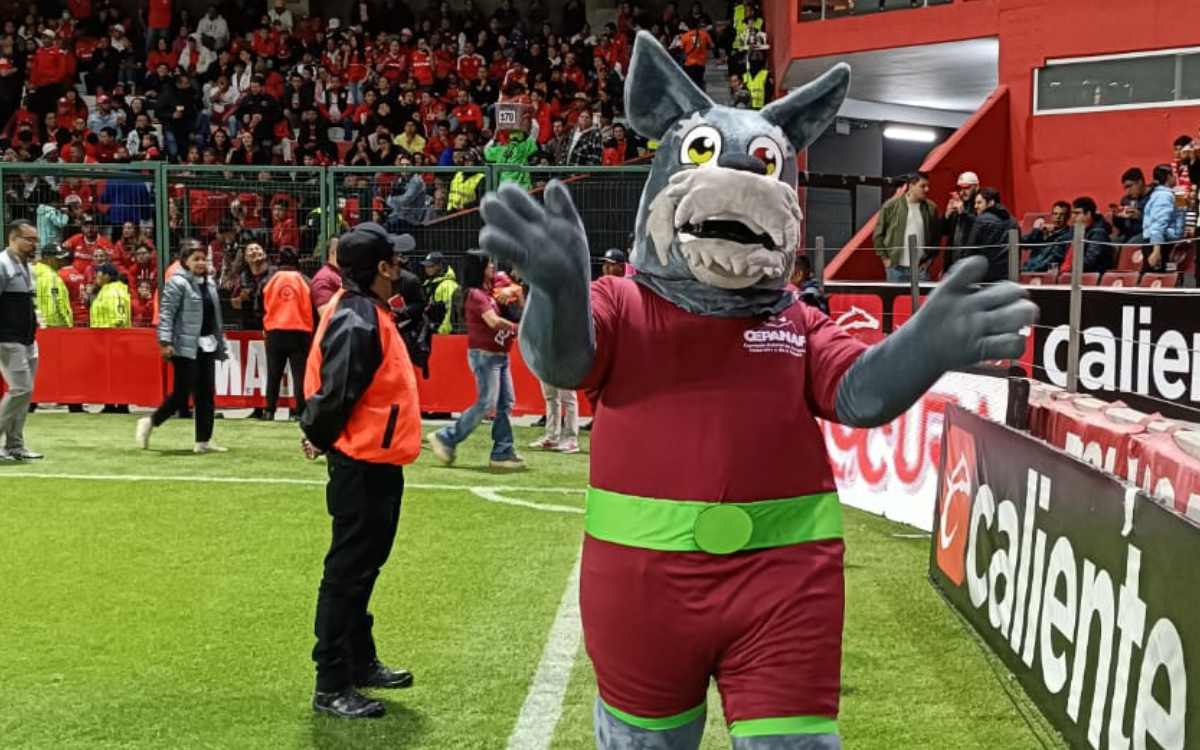 nueva inicitaiva de adopcion animal con toluca fc en edomex