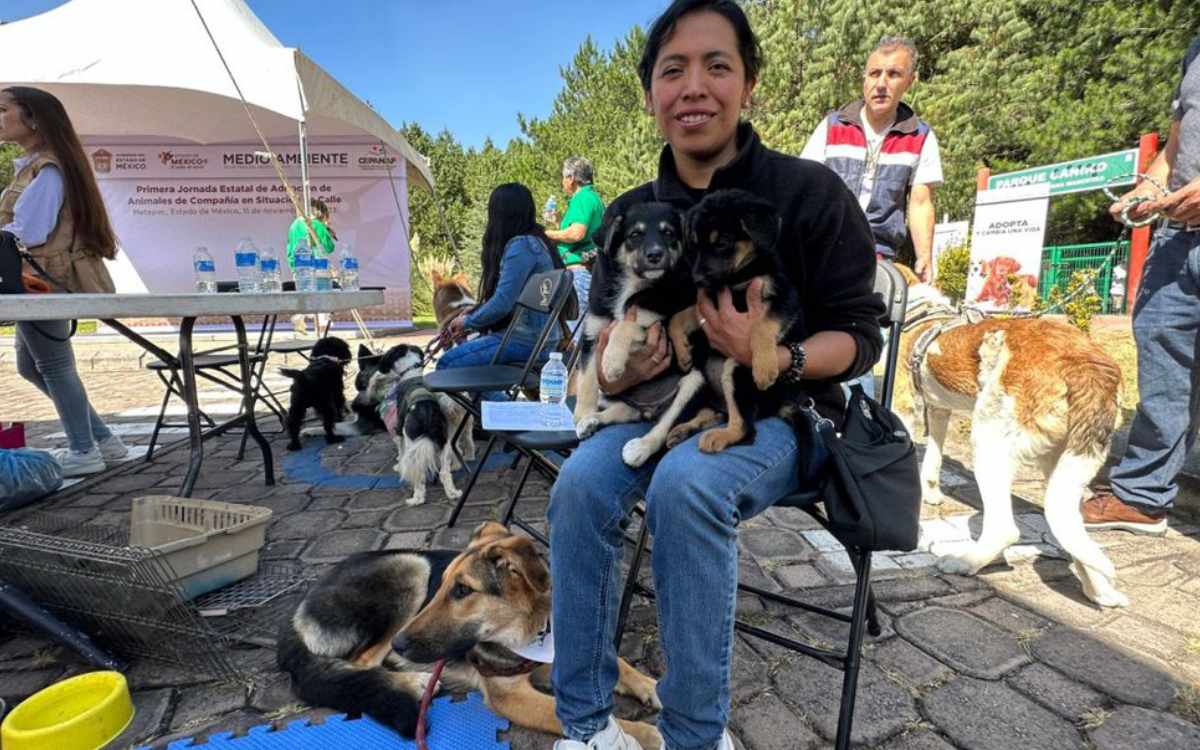 campaña de adopcion en san mateo atenco