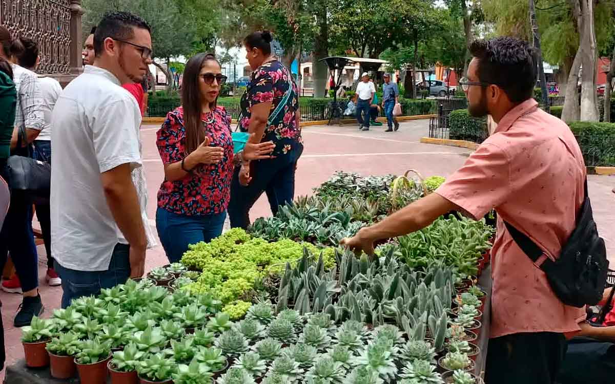 expo cactus y suculentas valle de bravo 2024 será de tres días en marzo