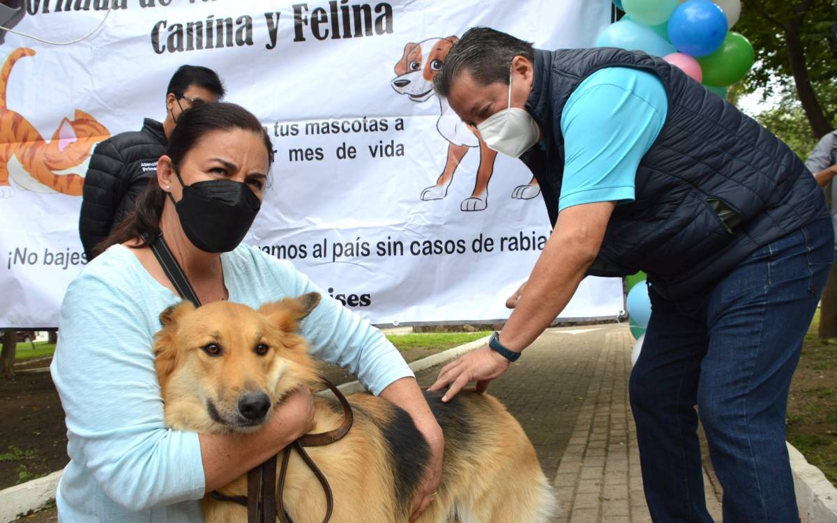 campaña de vacunacion mascotas en toluca