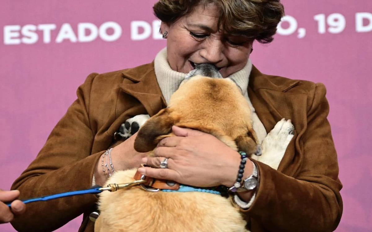 nueva iniciativa por bienestar animal edomex