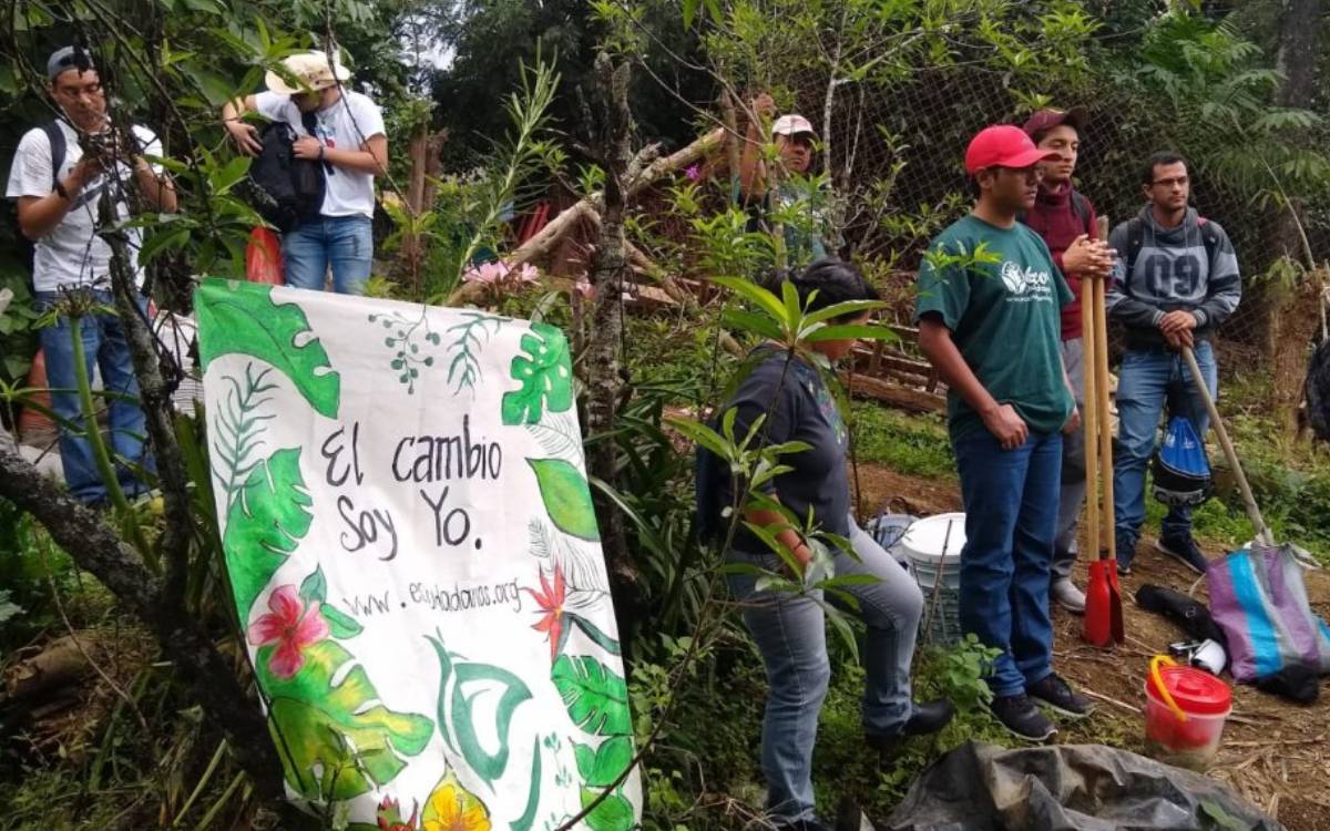 proyectos ambientales edomex