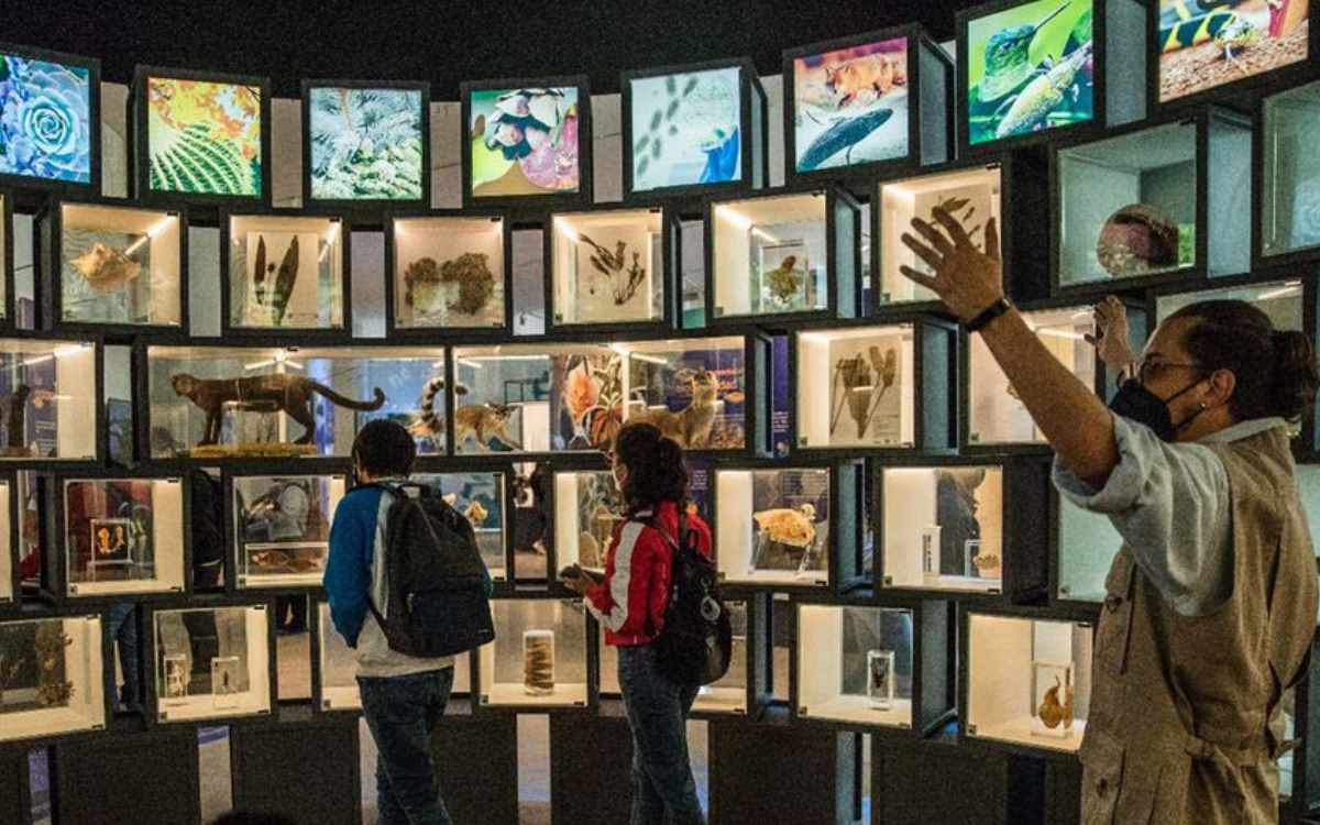 cuanto cobra la noche de museos toluca 2024