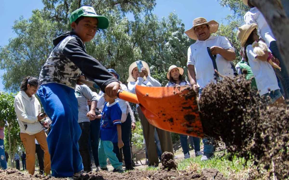 reforestacion en temoaya