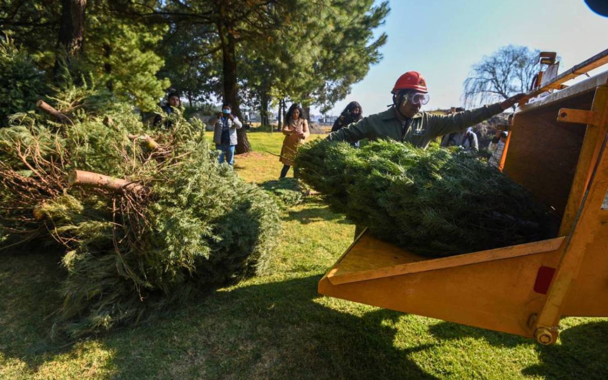 ubicacion centros acopio árbol de navidad