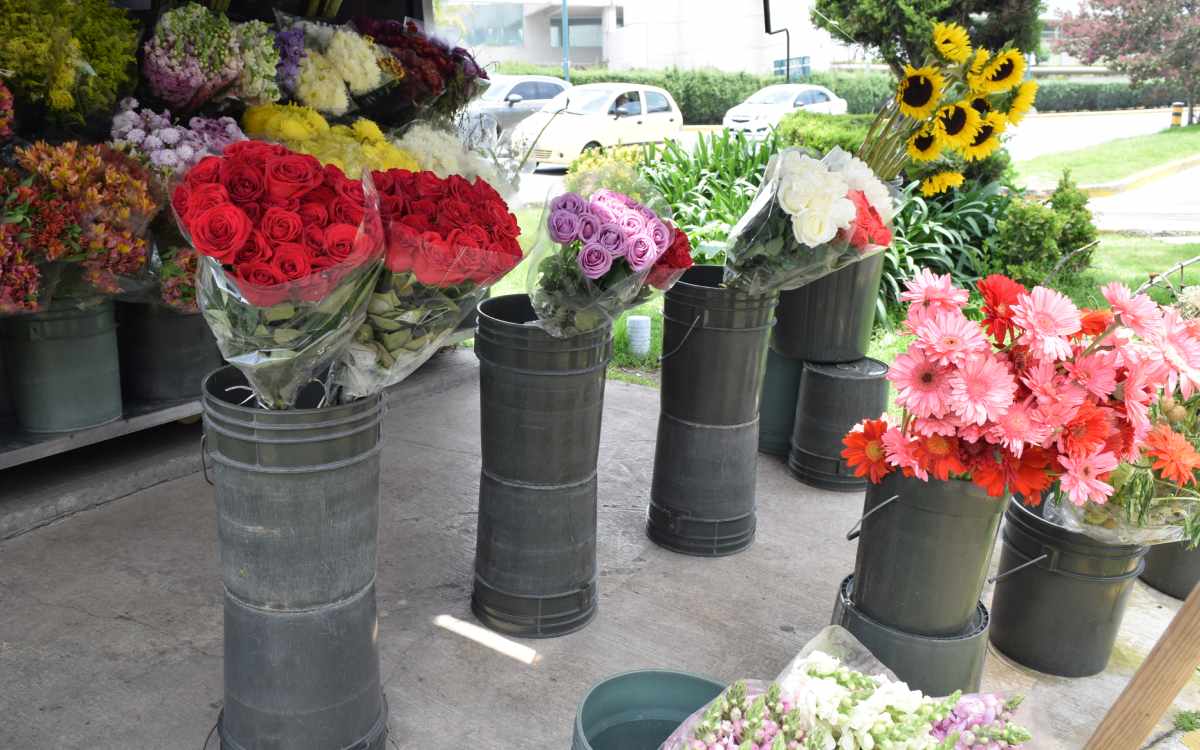 edomex productor numero 1 de flores a nivel nacional