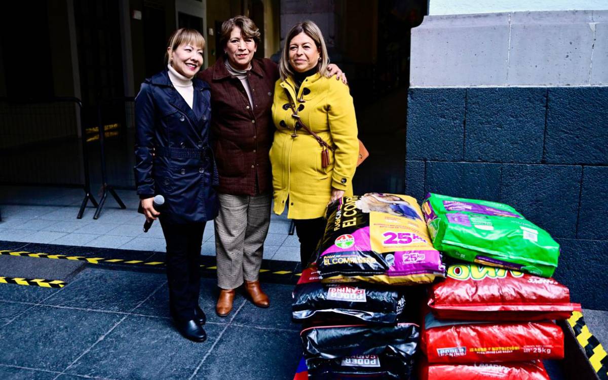 donde llevar donativos para colecta de alimento para perros y gatos edomex