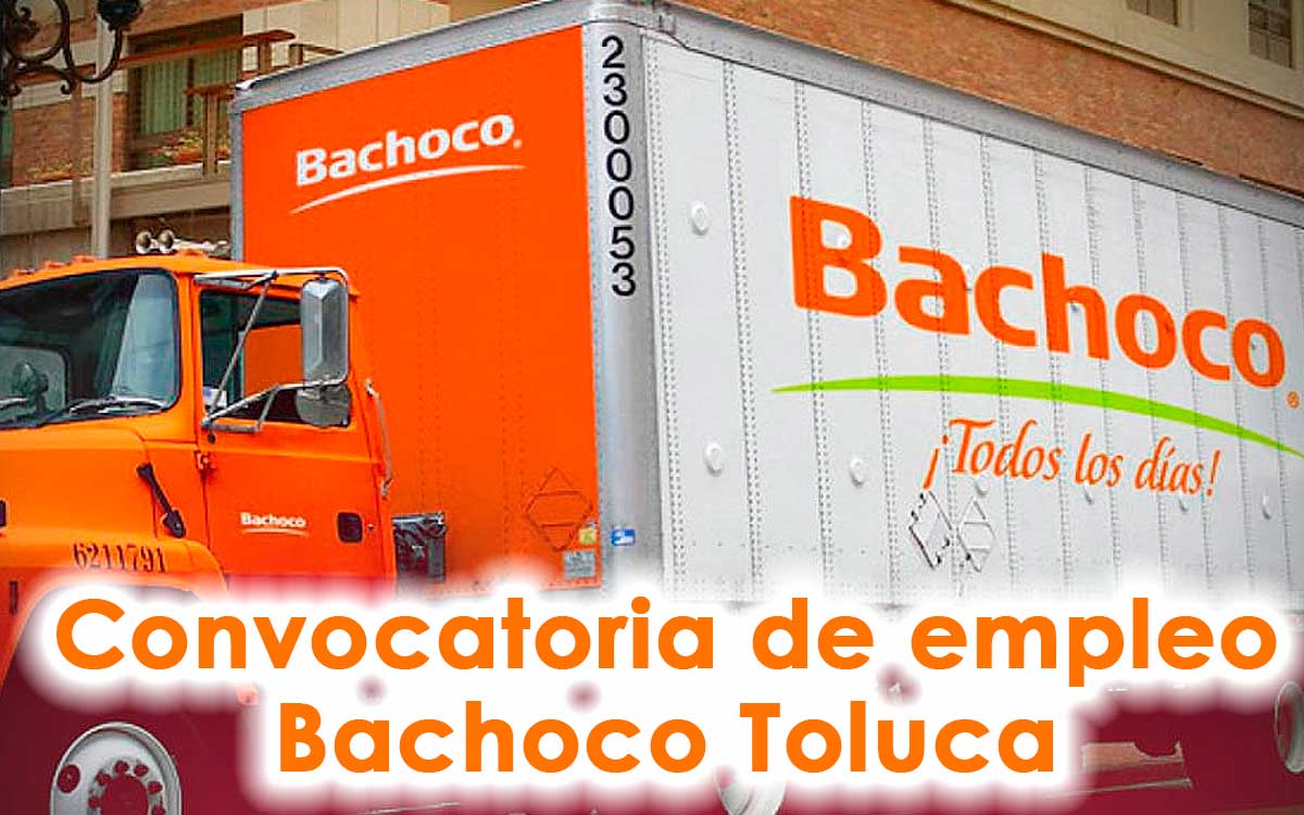catalogo de ofertas de empleo bachoco toluca