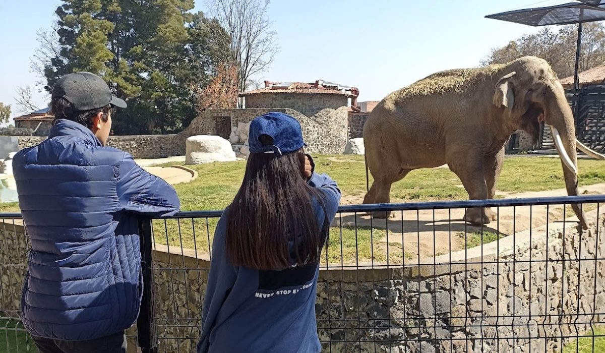 Horario de las experiencias animales en el Zoológico de Zacango 