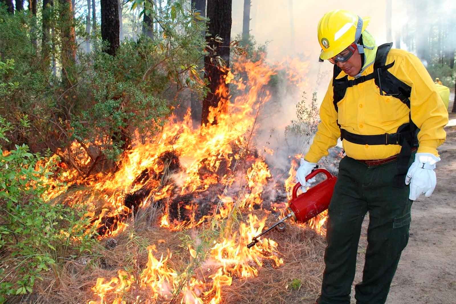 combatir incendios forestales edomex