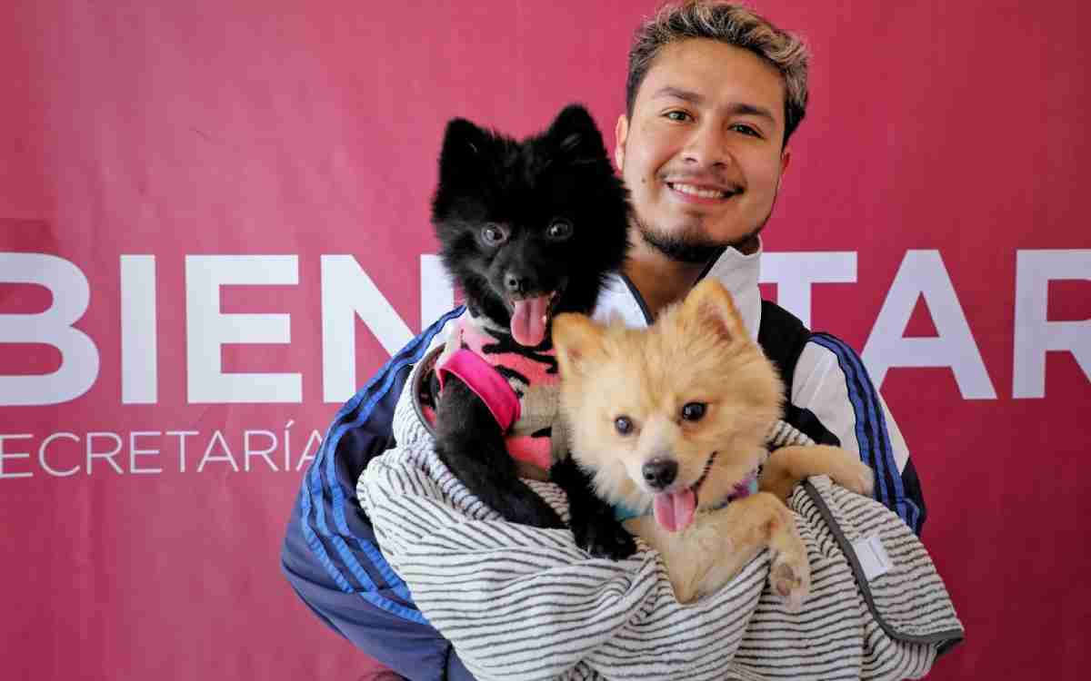 campaña de animales edomex