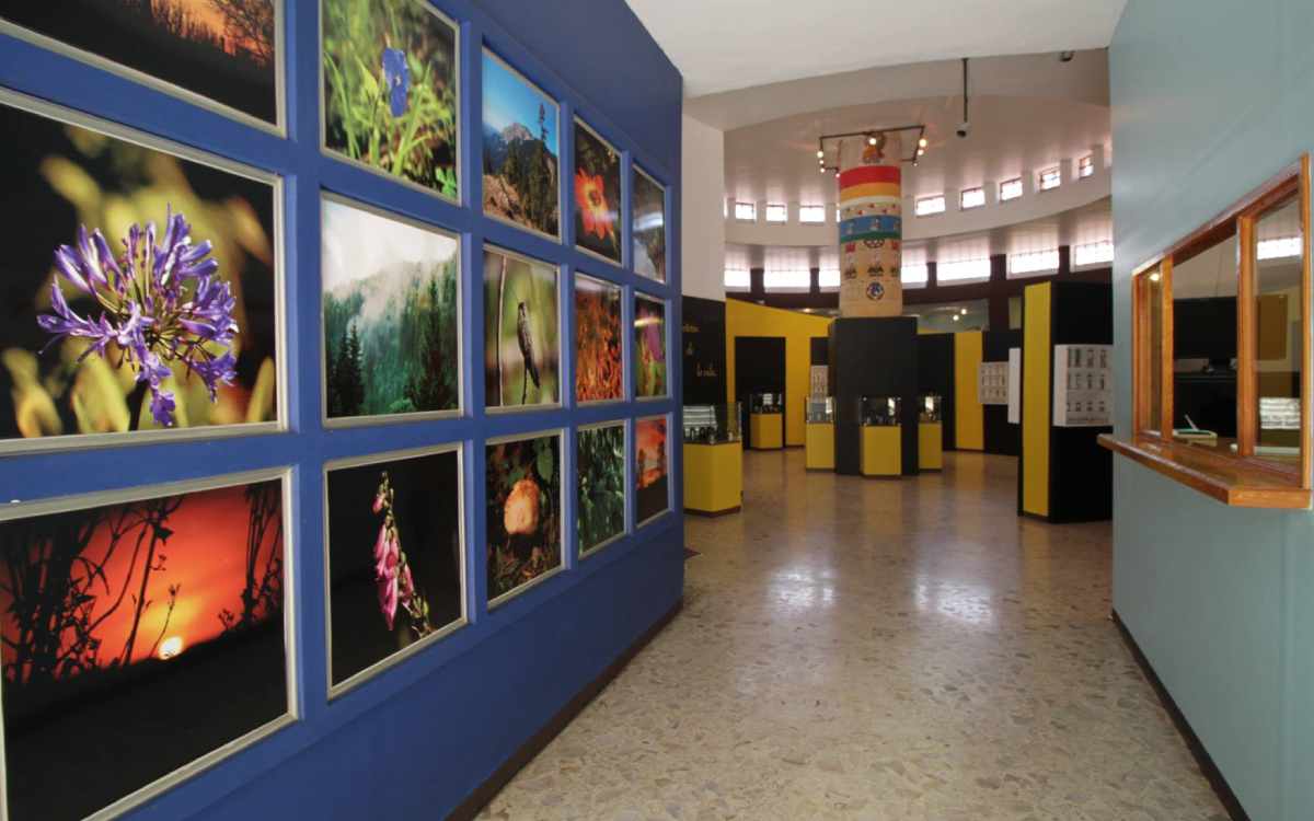 nueva noche de museos en EdoMéx