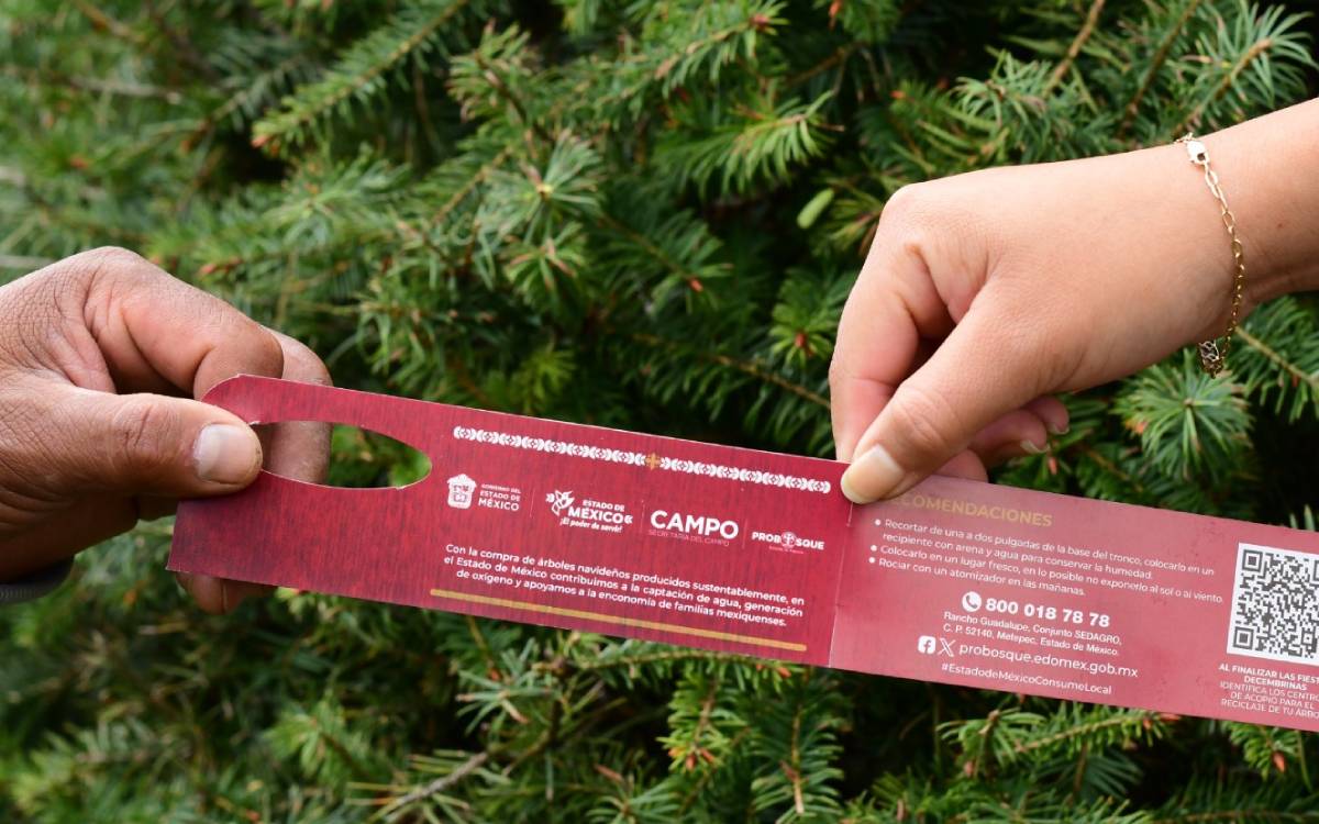 donde compro arbol de navidad natural en edomex