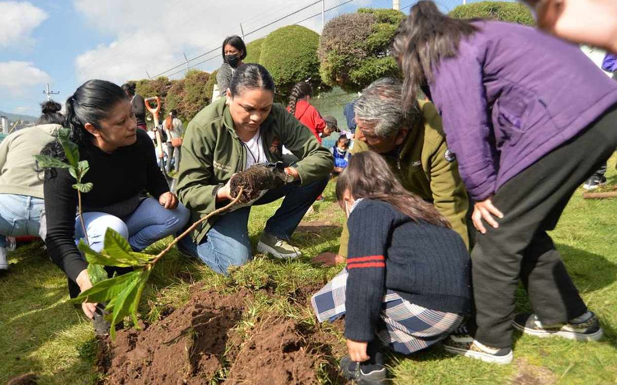 apuntate a la jornada de reforestacion en ixtlahuaca