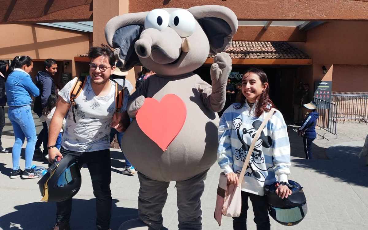 zoologico de zacango estara abierto el miercoles 1 d emayo de 10 a 17 horas