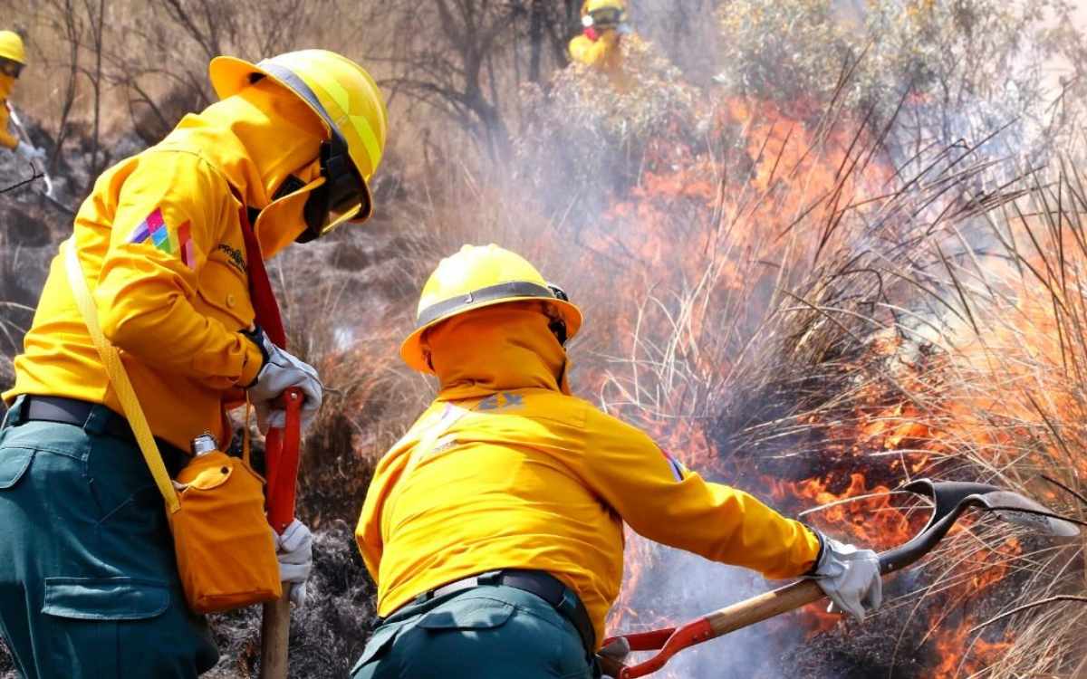 telefono rojo edomex para incendios forestales