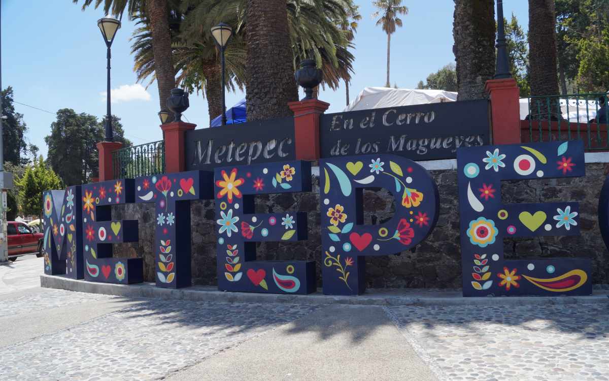 como participar en jornada de reforestacion metepec
