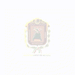 Animated representation of a coat of arms featuring intricate details and a decorative border.